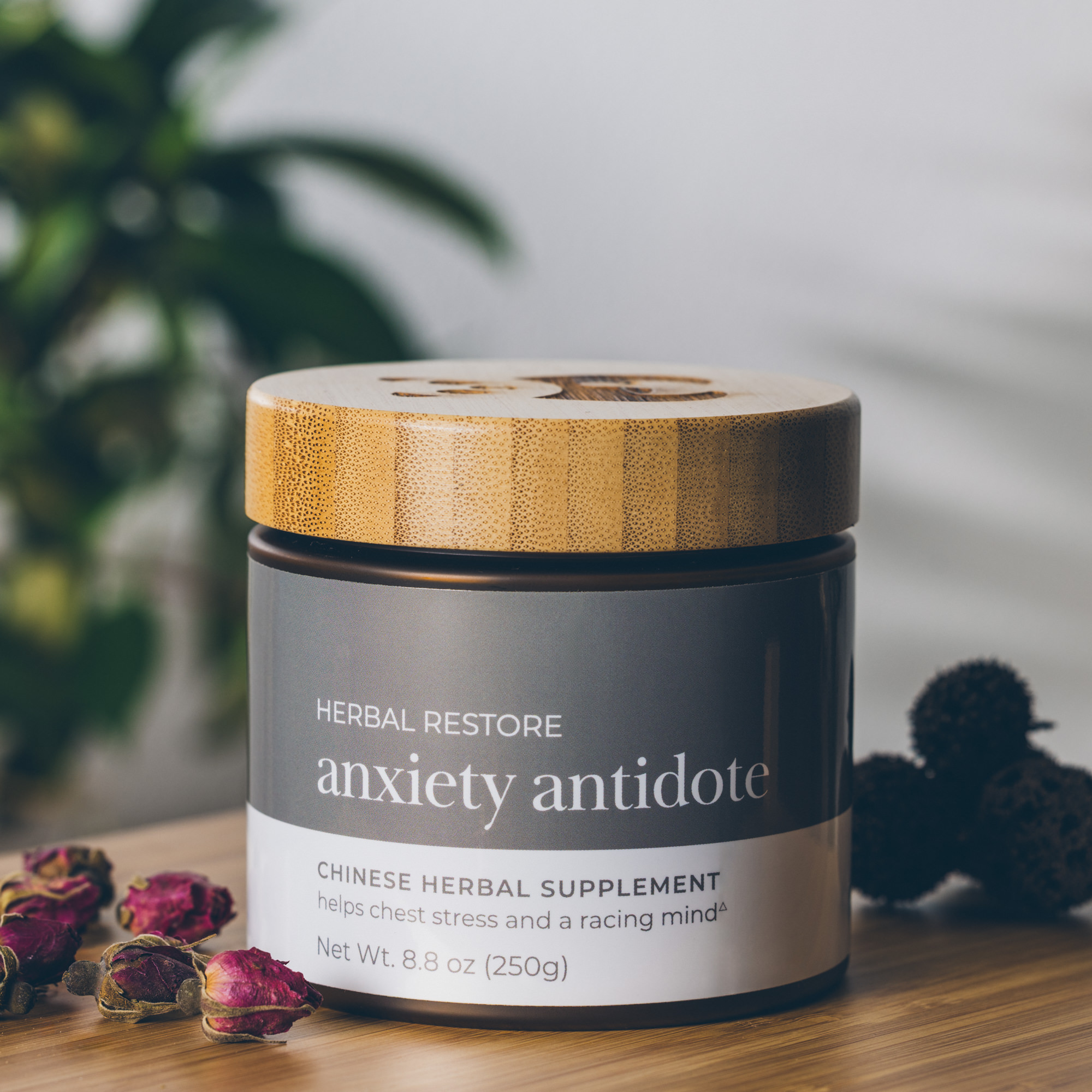 Photo by Iron Lotus Creative / Stephen Ironside